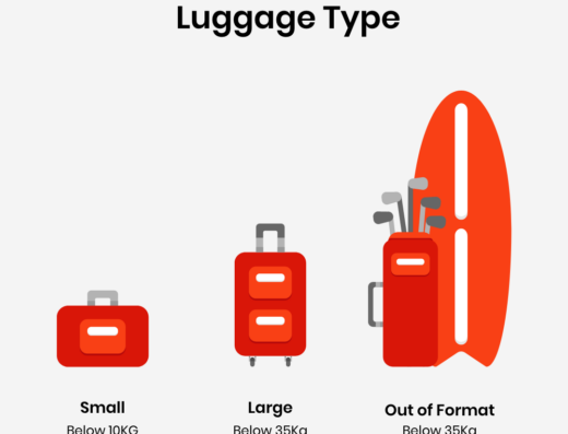 Luggage types