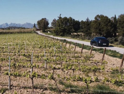 Private wine tour