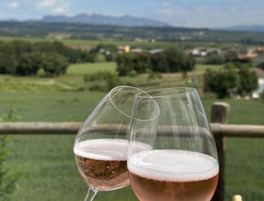 EVE BCN – Private Wine Tours